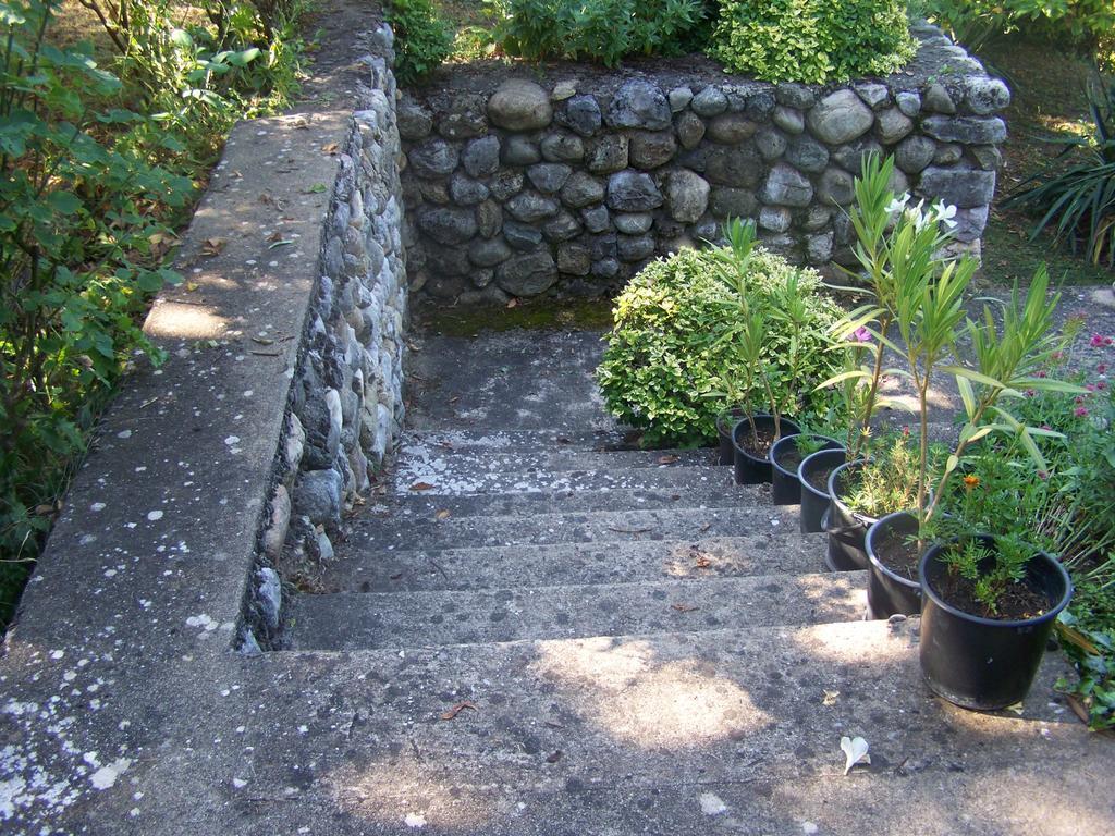Vila Popovski Ljubanista Exterior photo