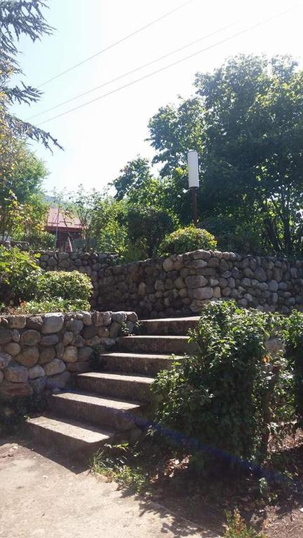 Vila Popovski Ljubanista Exterior photo